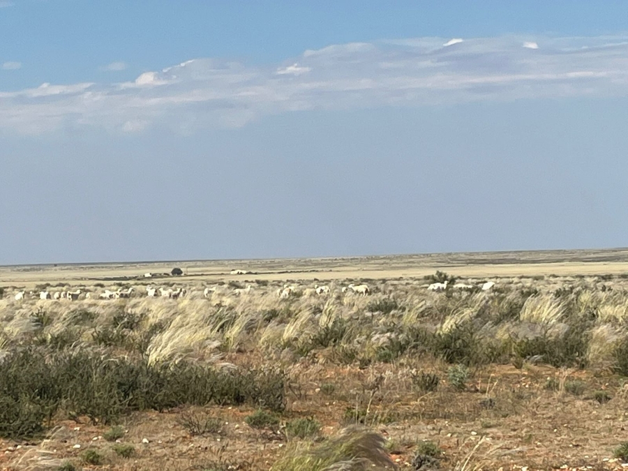 2 Bedroom Property for Sale in Prieska Rural Northern Cape